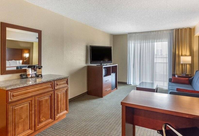 Люкс, Comfort Inn & Suites Rochelle   Dekalb