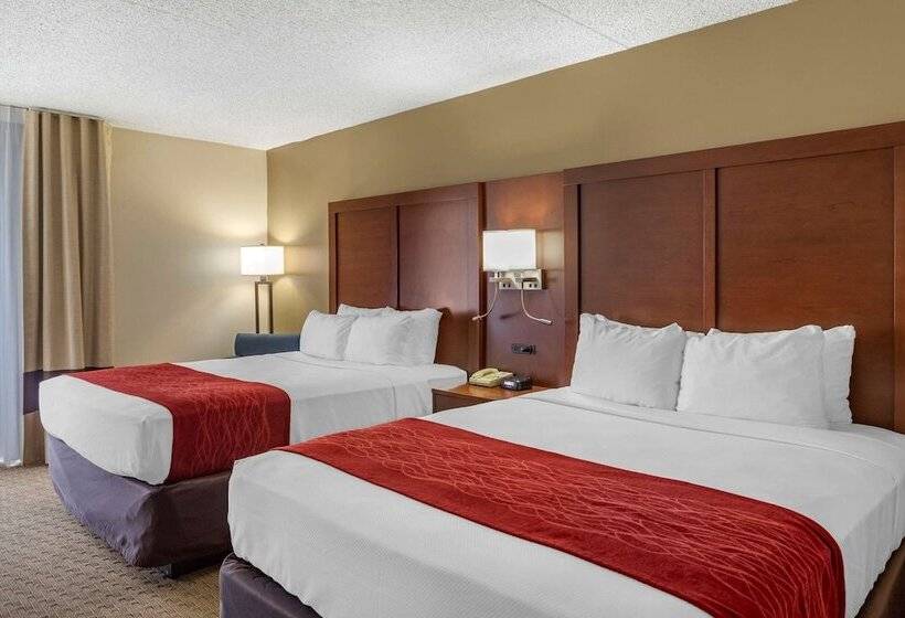 Номер Стандарт 2 Двуспальные Кровати, Comfort Inn & Suites Rochelle   Dekalb