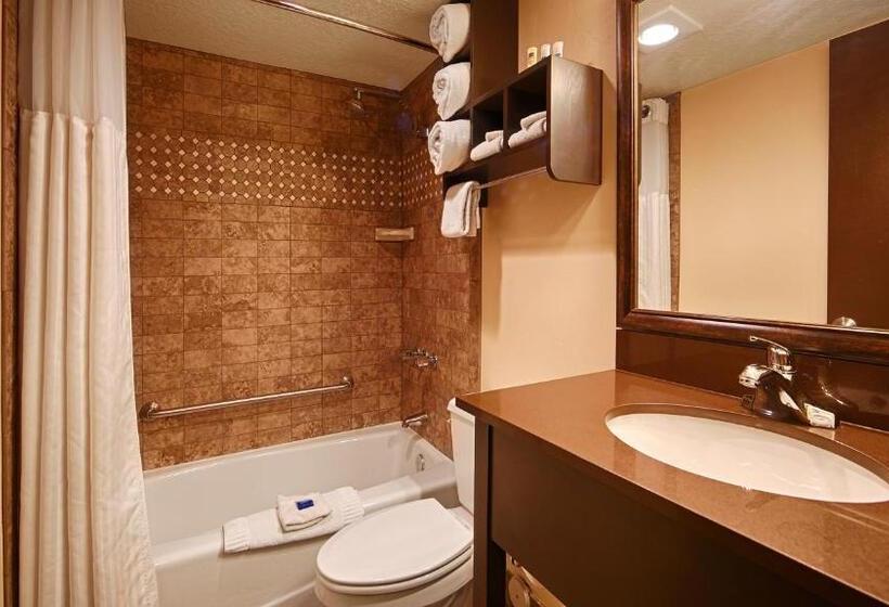 Номер Стандарт, Park Inn By Radisson Salt Lake Citymidvale