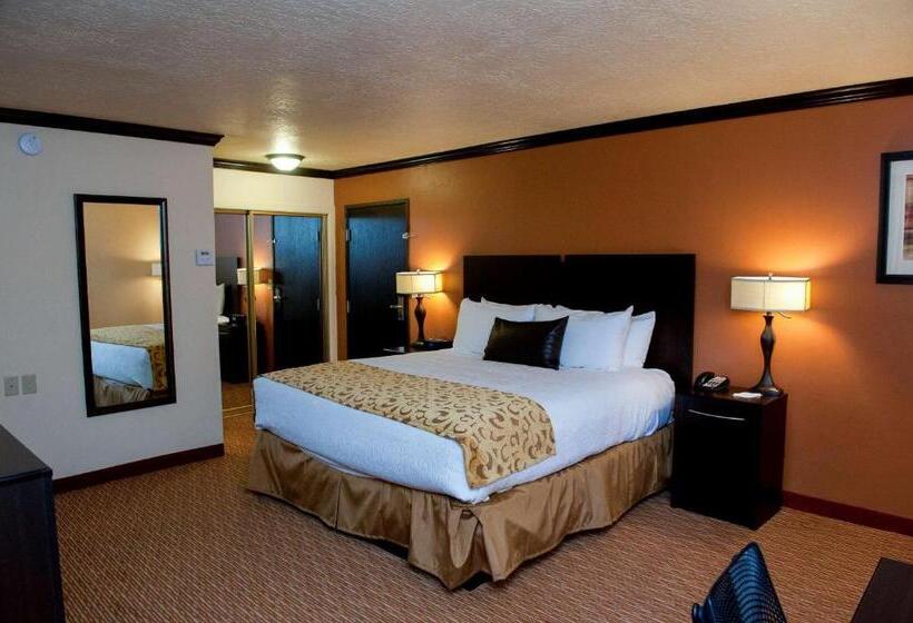 Стандартный Номер Кровать Кинг, Park Inn By Radisson Salt Lake Citymidvale