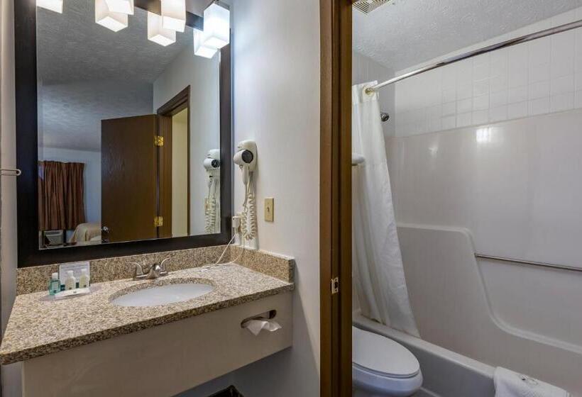 Номер Стандарт, Quality Inn Austintown Youngstown West