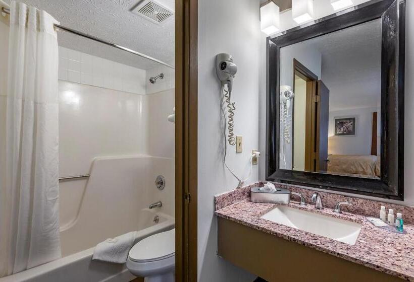 Стандартный Номер Кровать Кинг, Quality Inn Austintown Youngstown West