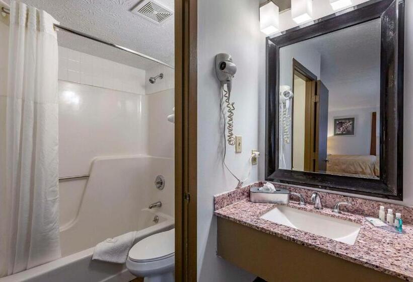 Стандартный Номер Кровать Кинг, Quality Inn Austintown Youngstown West