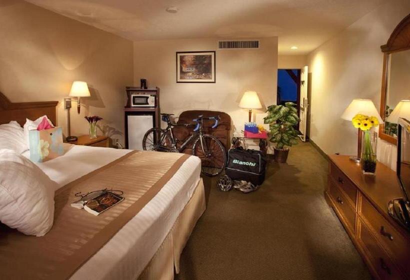 스탠다드 룸 킹사이즈 침대, Best Western Westminster Inn