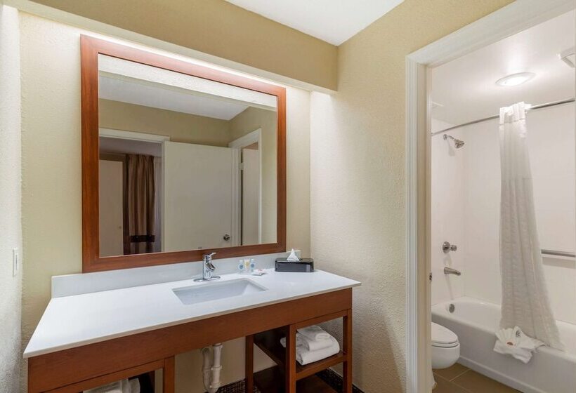 스위트, Comfort Inn & Suites  Near Robins Air Force Base Main Gate