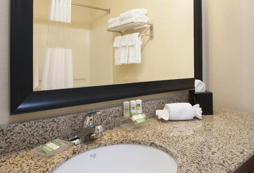Номер Стандарт, Country Inn & Suites By Radisson, Holland, Mi