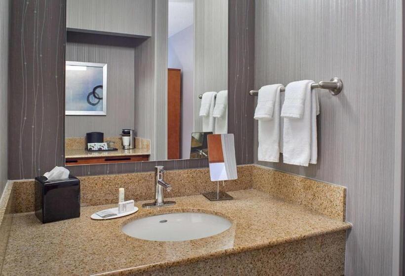 身障者適用スタンダードルーム, Sonesta Select Minneapolis Eden Prairie