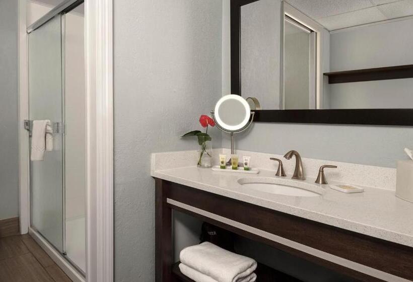 Студио Стандарт Кровать Кинг, Dolphin Beach Resort