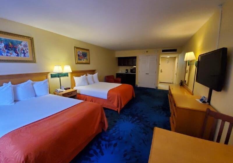 Номер Стандарт, Dolphin Beach Resort
