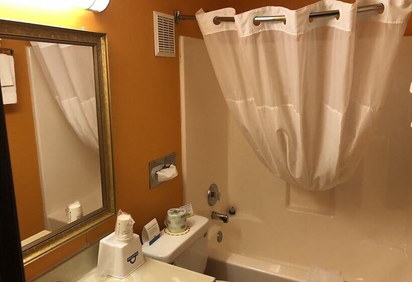 Студия Deluxe, Days Inn & Suites By Wyndham Youngstown / Girard Ohio