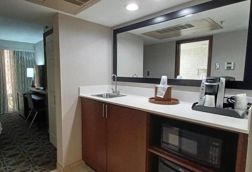 Люкс Кровать Кинг, Holiday Inn   Mcallen   Medical Center Area, An Ihg