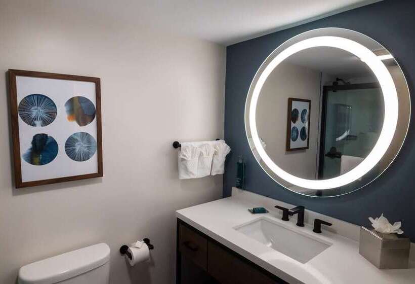 Suite Lit King, Embassy Suites By Hilton Austin Downtown South Congress