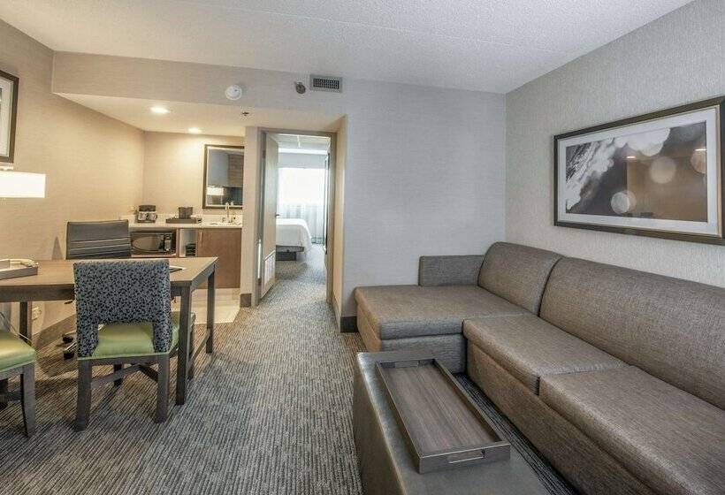 Suite, Embassy Suites By Hilton Chicago Schaumburg Woodfield