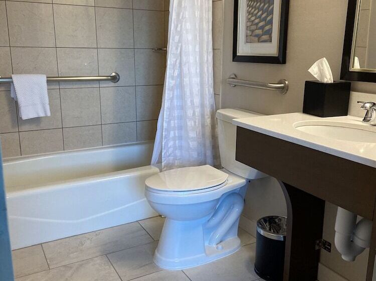 Suite Tilpasset til Handicappede, Embassy Suites By Hilton Chicago Schaumburg Woodfield