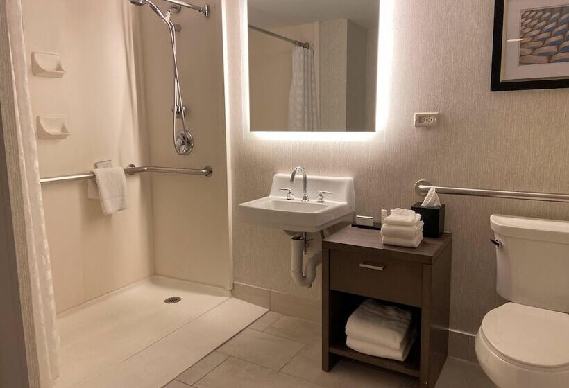 Suite Tilpasset til Handicappede, Embassy Suites By Hilton Chicago Schaumburg Woodfield