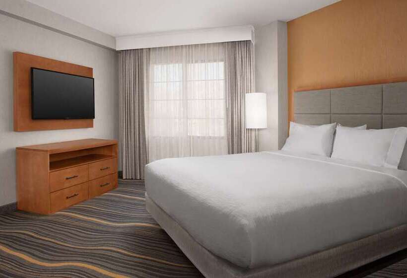 Suite King Size Seng, Embassy Suites By Hilton Chicago Schaumburg Woodfield