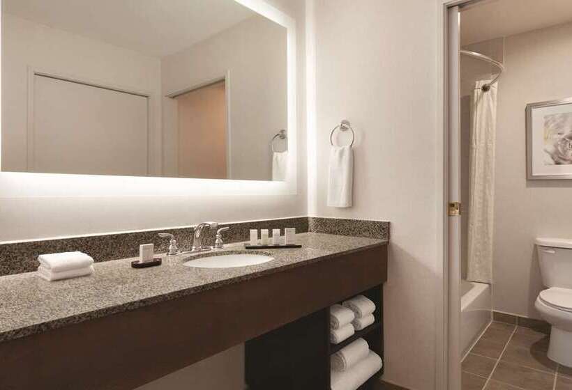 Suite King Size Seng, Embassy Suites By Hilton Chicago Schaumburg Woodfield