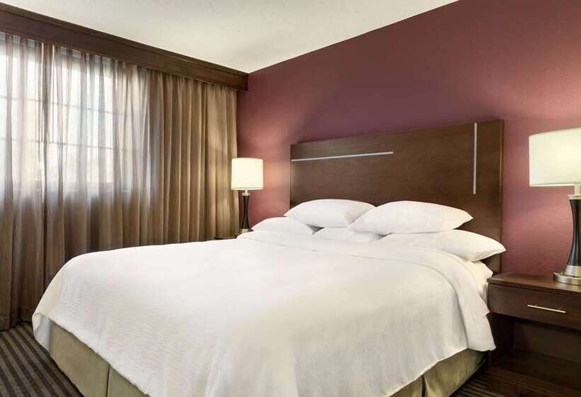Suite King Size Seng, Embassy Suites By Hilton Chicago Schaumburg Woodfield