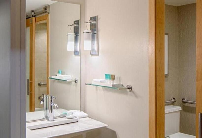 Номер Стандарт Кровать Кинг Адаптированный для Инвалидов, Hyatt Regency Santa Clara