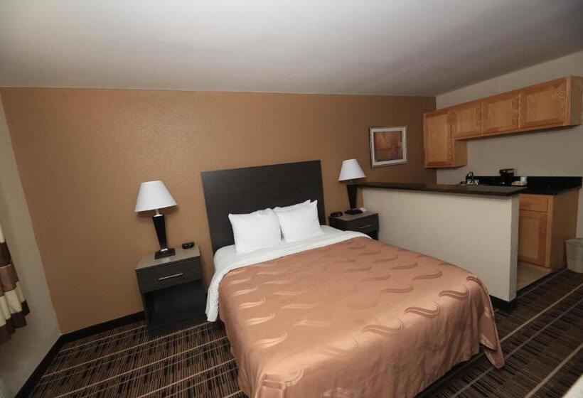 Номер Стандарт, Quality Inn Dfw Airport North