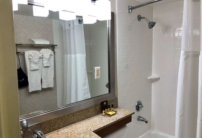 ２ダブルベッドのスタンダードルーム, Best Western Plus Grosvenor Airport