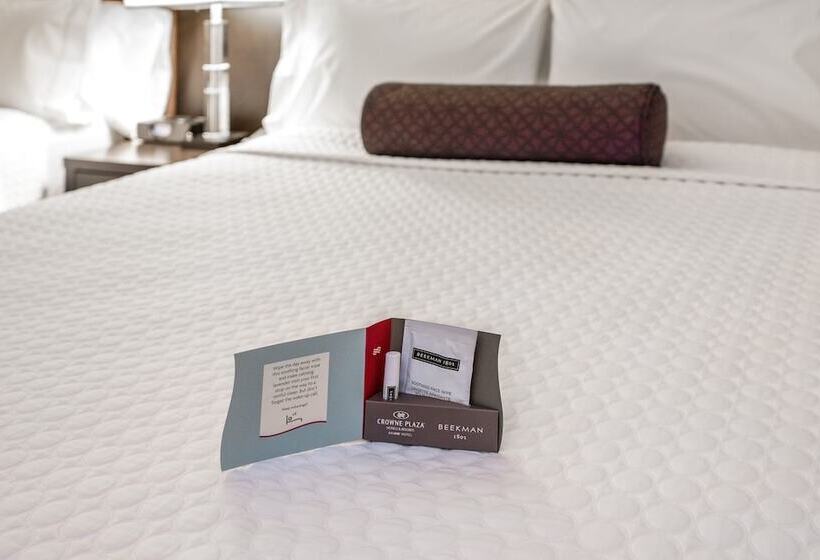 带2个双人床的标准工作室, Hyatt Regency Times Square