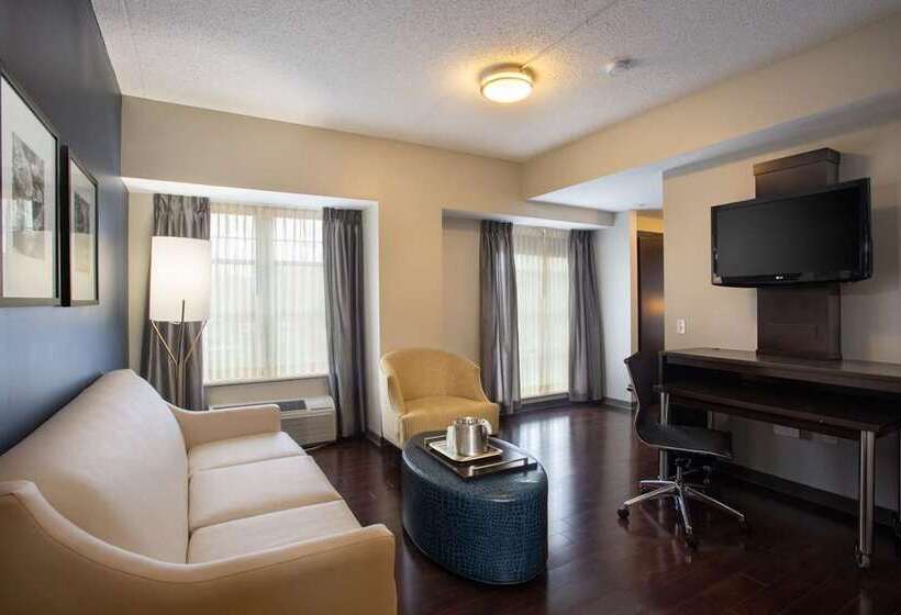 جناح سرير كينج, Hilton Phoenix Airport