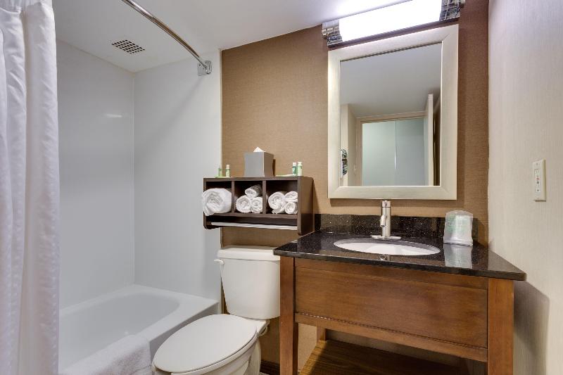 Люкс Кровать Кинг, Holiday Inn Express Washington Dc Sw   Springfield By Ihg