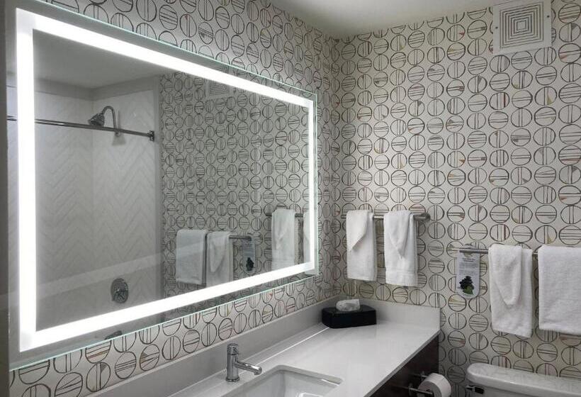 Стандартный Номер Кровать Кинг, Holiday Inn Niagara Falls State Park Entry, An Ihg