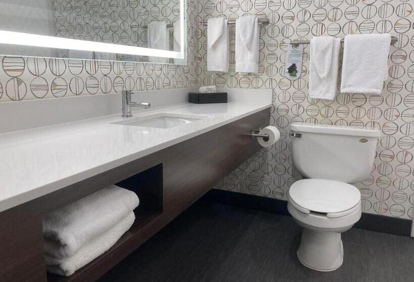 Номер Стандарт, Holiday Inn Niagara Falls State Park Entry, An Ihg