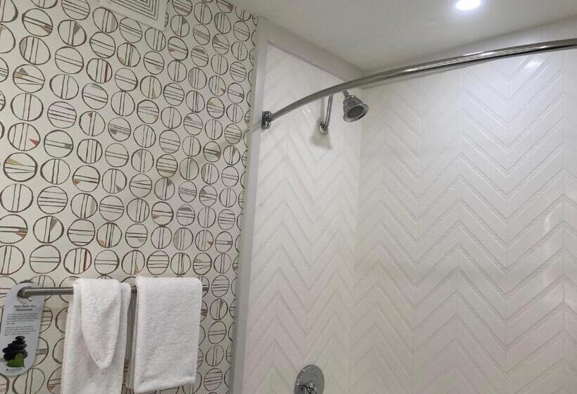 Номер Стандарт Кровать Кинг Адаптированный для Инвалидов, Holiday Inn Niagara Falls State Park Entry, An Ihg