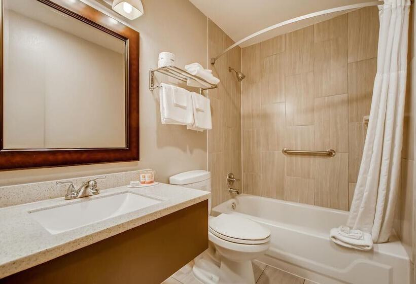 Номер Deluxe, Orangewood Inn And Suites Midtown