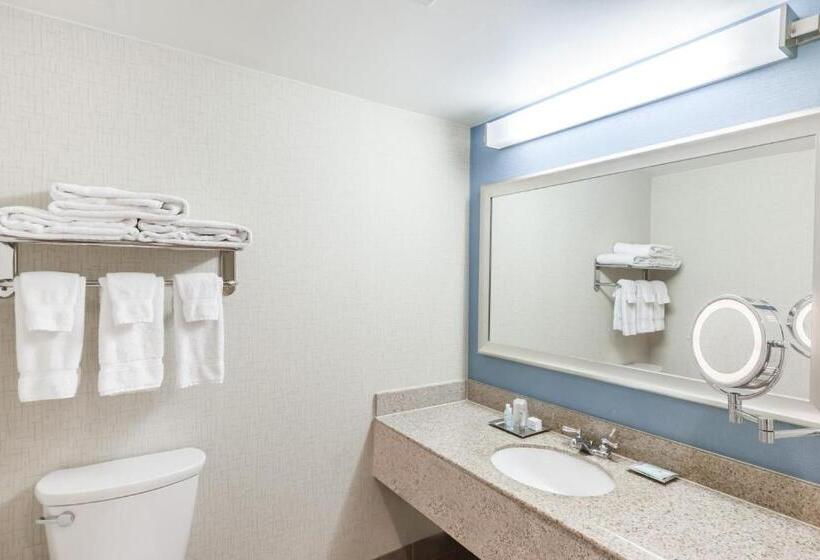 Номер Deluxe Кровать Кинг, Courtyard By Marriott Pittsburgh University Center