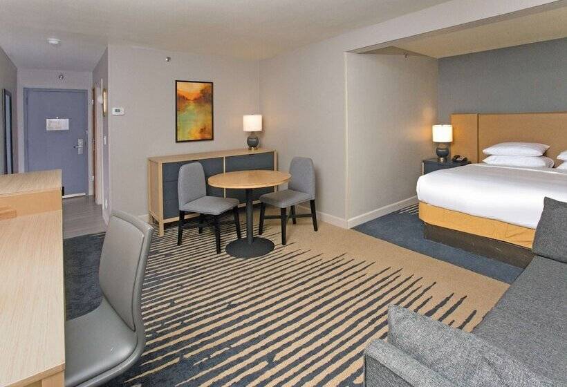 스탠다드 스튜디오 더블 침대, Doubletree By Hilton Chico