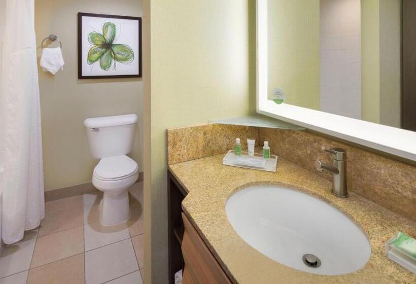 Номер Deluxe, Holiday Inn San Jose Silicon Valley, An Ihg