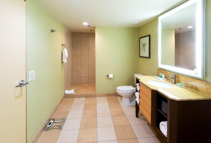 Стандартный Номер Кровать Кинг, Holiday Inn San Jose Silicon Valley, An Ihg