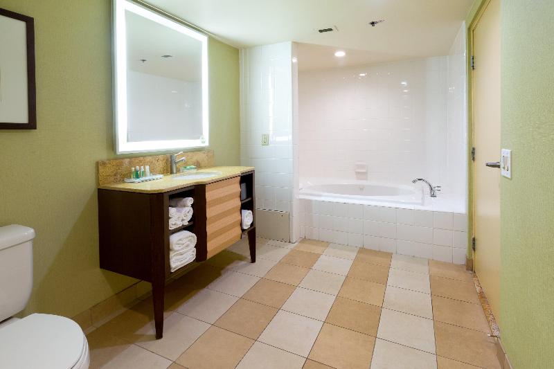 Стандартный Номер Кровать Кинг, Holiday Inn San Jose Silicon Valley, An Ihg