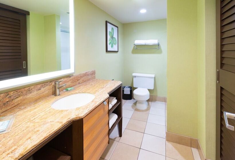 Номер Стандарт 2 Двуспальные Кровати, Holiday Inn San Jose Silicon Valley, An Ihg