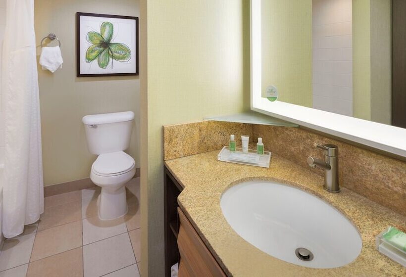 Номер Стандарт, Holiday Inn San Jose Silicon Valley, An Ihg