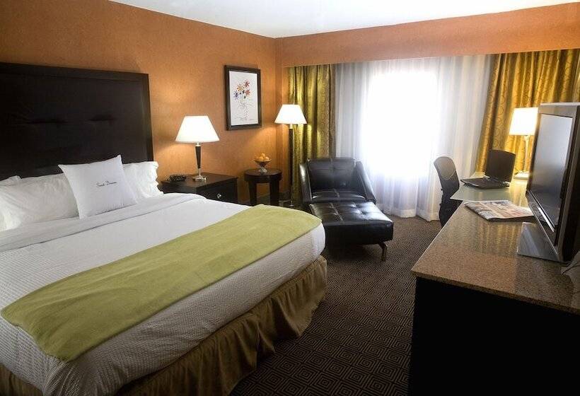 Номер Стандарт, Doubletree By Hilton Springfield