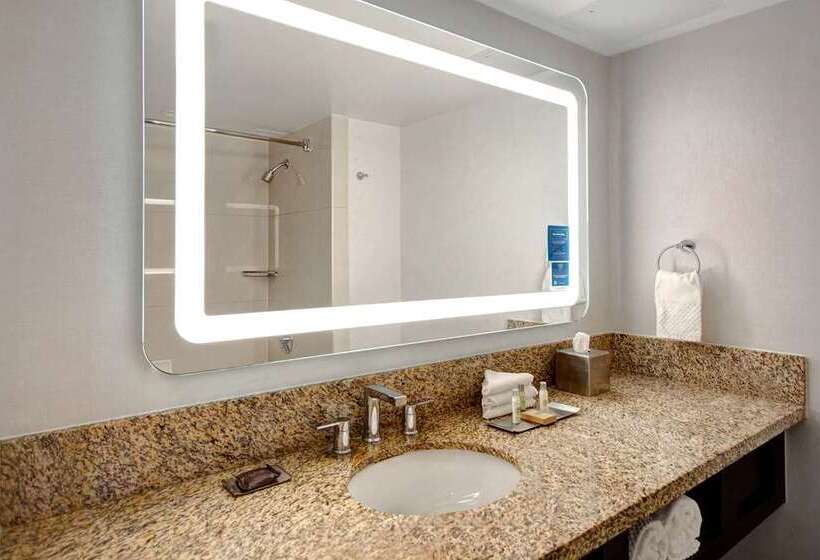 Номер Стандарт, Doubletree By Hilton St. Louis Airport