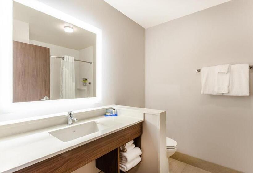 适合残疾人士使用的带超级大床的标准间, Holiday Inn Express & Suites   Springfield North, An Ihg
