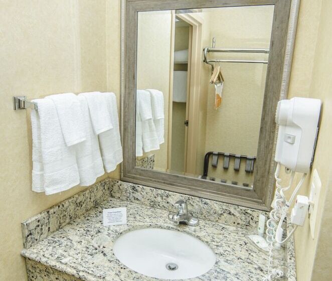 Номер Стандарт 2 Двуспальные Кровати, Quality Inn & Suites Coldwater Near I69