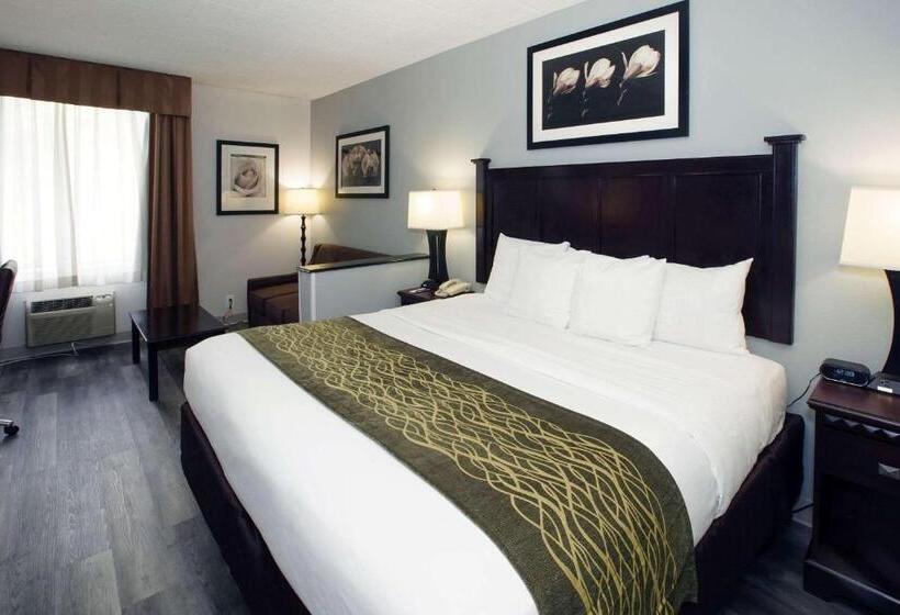 스위트 킹사이즈 침대, Best Western Paramus Hotel & Suites