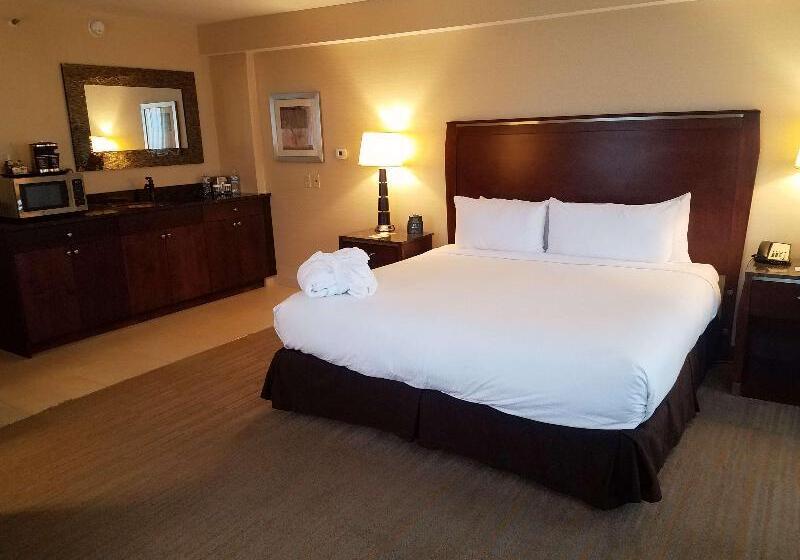 스탠다드 룸 킹사이즈 침대, Doubletree By Hilton Denver Thornton