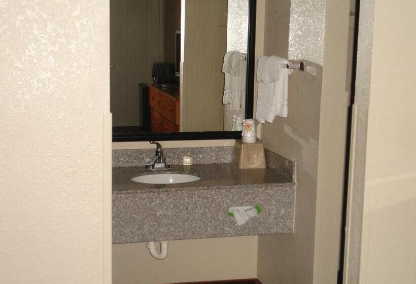 Camera Standard Letto King, Super 8 By Wyndham Chattanooga/east Ridge