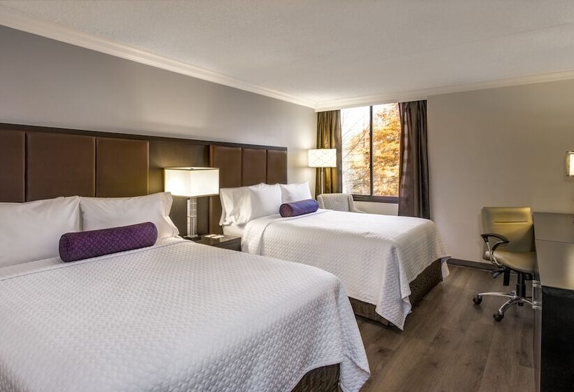 스탠다드 룸, Crowne Plaza Suffern Mahwah, An Ihg