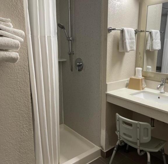 חדר סטנדרט מותאם לאדם עם מוגבלויות, Econo Lodge Cartersvilleemerson Lake Point