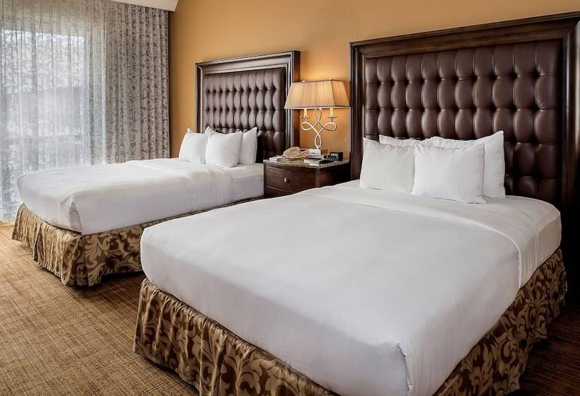 스탠다드 룸 더블 침대 2개, Hilton St. Louis Airport