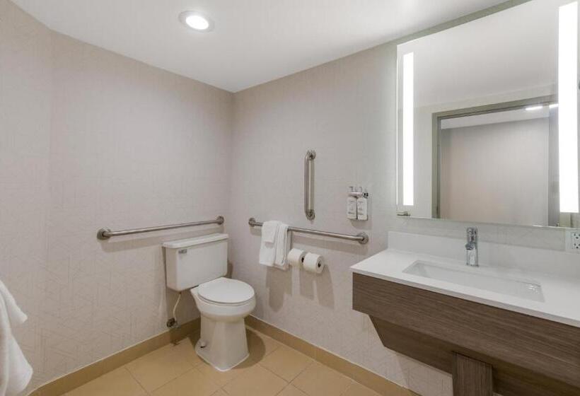 스탠다드 룸 킹사이즈 침대, Holiday Inn Express Hotels  Hampton, An Ihg